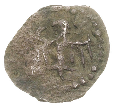 Witold Aleksander 1392-1430, denar (półgrosz) ok. 1393, Wilno, Aw: Lew w prawo, Rw: Orzeł, srebro 0.59 g, Ivanauskas 2V1-1 (RRRR)