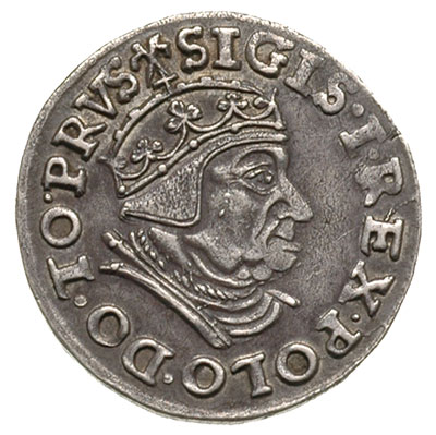 trojak 1539 Gdańsk, Iger G.39.1.j (R1), patyna