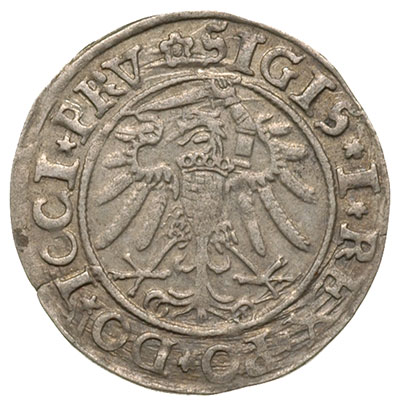 grosz 1534, Elbląg