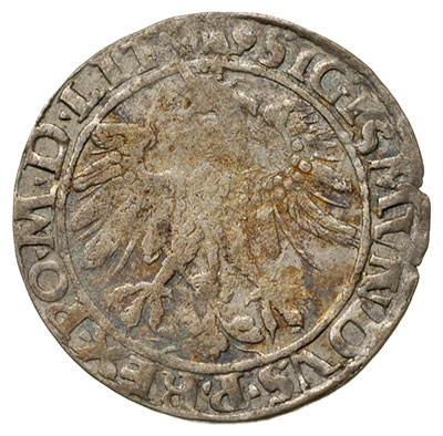 grosz 1535, Wilno, odmiana z literą N pod Pogonią, Ivanauskas 2S24-8, T. 7, rzadki