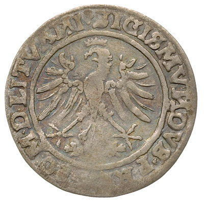 grosz 1535, Wilno, odmiana bez litery pod Pogoni