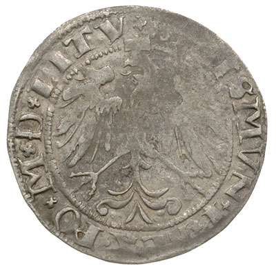 grosz 1536, Wilno, odmiana z literą I pod Pogonią, Ivanauskas 2S50-15, T. 7, widoczne lustro mennicze, rzadki