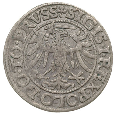 grosz 1539, Elbląg, na awersie końcówka napisu P