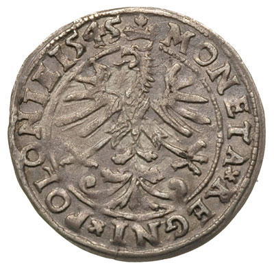 grosz 1545, Kraków, korona płaska, patyna