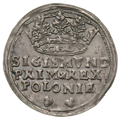 grosz 1545, Kraków, korona wysoka, patyna