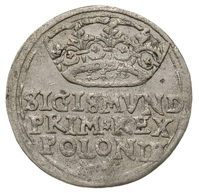 grosz 1545, Kraków, korona wąska