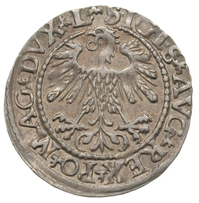 półgrosz 1559, Wilno, Ivanauskas 4SA87-24, bardzo ładny
