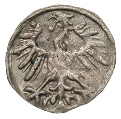 denar 1556, Wilno, Ivanauskas 2SA15-6, T. 6