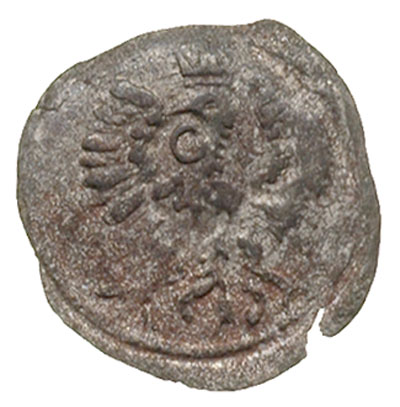 denar 1602, Wschowa, T. 25, lekko wykruszony krążek, ale ładne lustro mennicze, bardzo rzadki