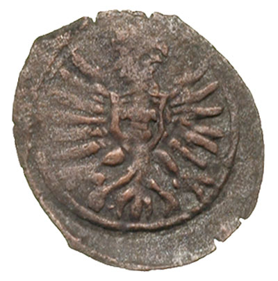 denar 1604, Poznań, T. 35, bardzo rzadki