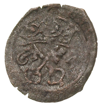 denar 1604, Poznań, T. 35, bardzo rzadki