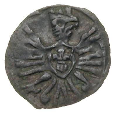 denar 1605, Poznań, T. 2, patyna