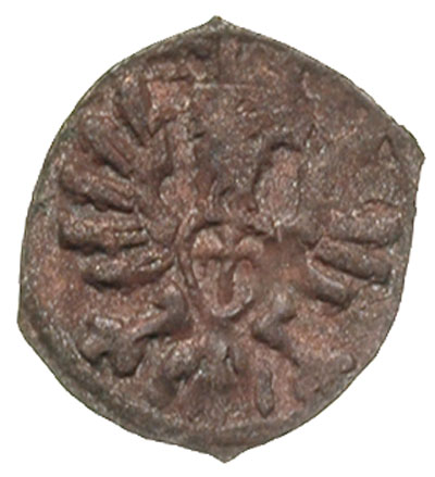 denar 1607, Poznań, T. 5