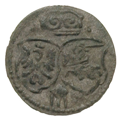 denar 1622, Łobżenica, T. 6