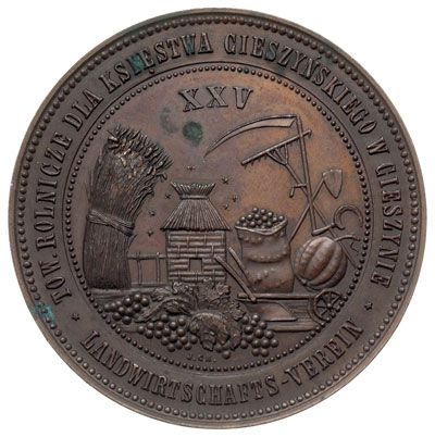 Wystawa Jubileuszowa w Cieszynie 1893 r., medal 