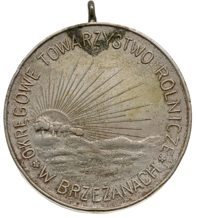 Wystawa Ogólno-Rolnicza w Brzeżanach w 1928 r., niesygnowany medal odlany z zawieszką, Aw: Na snopie zboża skrzyżowane grabie, kosa i sierp, powyżej data 23-25.IX., w otoku napis PIERWSZA WYSTAWA OGÓLNO -ROLNICZA w BRZEŻANACH, Rw: Wschodzące słońce nad polem, w otoku napis OKRĘGOWE TOWARZYSTWO ROLNICZE W BRZEŻANACH, biały metal odlany 39,5 mm, Strzałkowski -