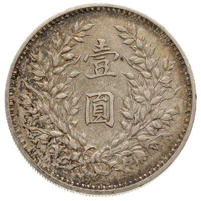 dolar, rok 9 (1920), popiersie Yuan Shih-Kai, Dav. 225, L&M 77, Kann 666, Yeoman 329.6, patyna