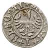 Jan Olbracht 1492-1501, półgrosz koronny, Aw: Or