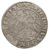 grosz 1536, Wilno, odmiana z literą M pod Pogoni