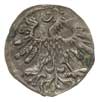 denar 1559, Wilno, Ivanauskas 2SA19-8, T.8, paty