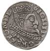 trojak 1599, Wschowa, Iger W.99.1.b, patyna