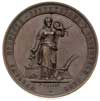 Wystawa Rolniczo - Przemysłowa w Przemyślu 1882, medal sygnowny F. Leisek, Aw: Kobieta z uniesiony..