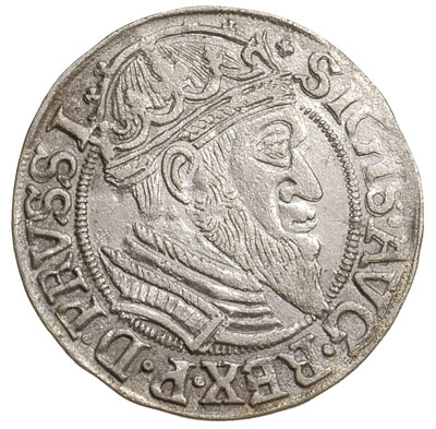 grosz 1557, Gdańsk, typ późniejszy z dużą głową króla, T.4, bardzo rzadki
