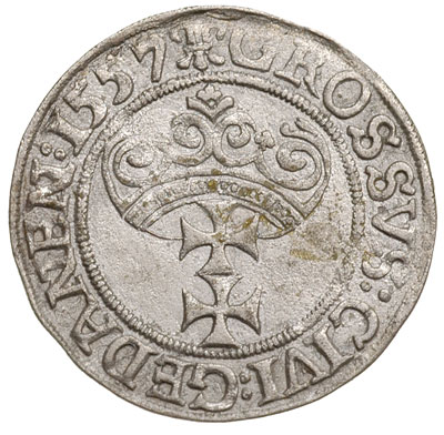 grosz 1557, Gdańsk, typ późniejszy z dużą głową króla, T.4, bardzo rzadki