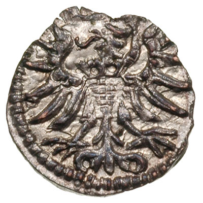 denar 1555, Gdańsk, T. 6, lekko wyszczerbiony kr