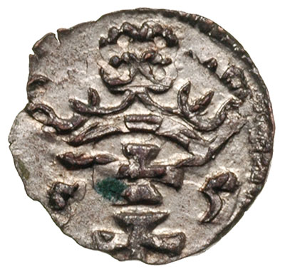 denar 1555, Gdańsk, T. 6, lekko wyszczerbiony kr