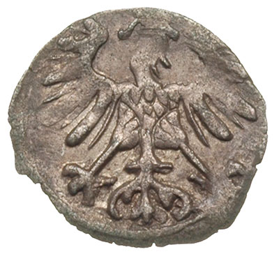 denar 1556, Wilno, Ivanauskas 2SA15-6, T. 6, pat