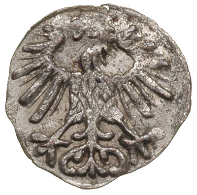 denar 1556, Wilno, Ivanauskas 2SA15-6, T.6, nieznaczna wada blachy