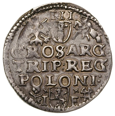 trojak 1595, Wschowa, Iger W.95.6.b, patyna