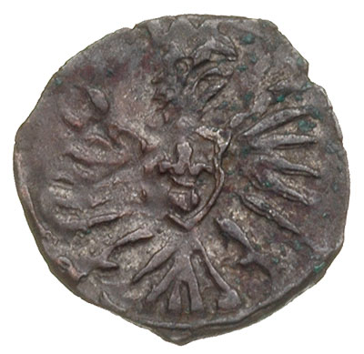 denar 1603, Poznań, T. 3, patyna