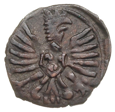 denar 1605, Poznań, T. 2, bardzo ładny, patyna