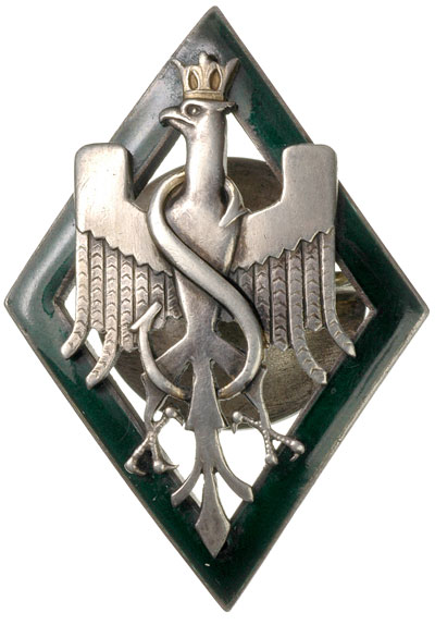 II Rzeczpospolita, odznaka pamiątkowa 5 Dywizji 