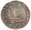 grosz na stopę polską 1566, Tykocin, na rewersie