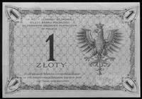 1 złoty 28.02.1919, S.16 J 019, 735, Kow.96j, Pick 51