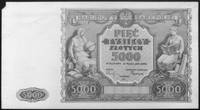 próbny druk awersu i rewersu banknotu 5.000 złotowego emisji 15.05.1946, beznumerów, 2 sztuki, Kow..
