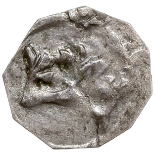 denar z lat 1364-1378, Gniewkowo, Aw: Herb Kujaw - pół lew, pół orzeł, wokoło napis, Rw: Korona, wokoło napis, srebro 0.13 g, Paszk. 11