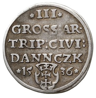 trojak 1536, Gdańsk, Iger G.36.2.f (R1), patyna