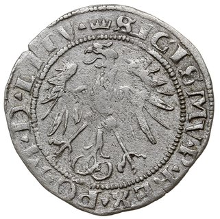 grosz na stopę litewską 1536, Wilno, odmiana z literą F pod Pogonią, Ivanauskas 2S66-18, T. 7, rzadki