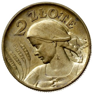 2 złote 1924, Warszawa, \Głowa kobiety z kłosami, bez znaku mennicy i napisu PRÓBA