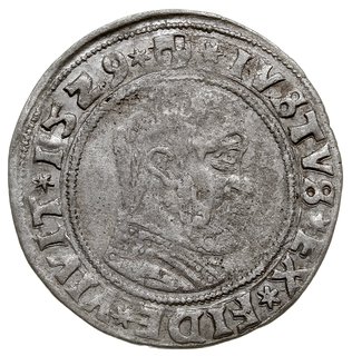 grosz 1529, Królewiec, Bahr. 1114, Neumann 45, bardzo rzadki
