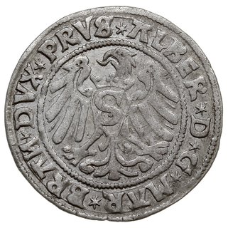 grosz 1529, Królewiec, Bahr. 1114, Neumann 45, bardzo rzadki
