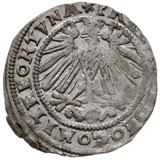 grosz 1569, Bielsko, odmiana z datą w napisie ot