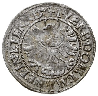 grosz 1541, Legnica, F.u.S 1349, rzadszy rocznik