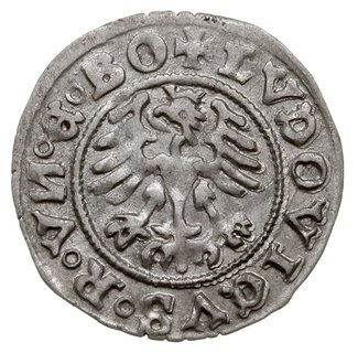 Ludwik Jagiellończyk jako król Czech i Węgier 1516-1526, półgrosz, 1526, Świdnica, Fbg. 372, bardzo ładny z lustrem menniczym