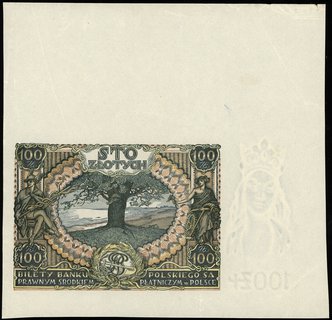 100 złotych 1932 lub 1934 - nieukończony druk bez oznaczenia serii i numeracji wydrukowane na oryginalnym papierze ponadwymiarowym ze znakiem wodnym, Miłczak 73 lub 74, Lucow 672a (R5), rzadkie i bardzo ładnie zachowane