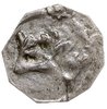 denar z lat 1364-1378, Gniewkowo, Aw: Herb Kujaw - pół lew, pół orzeł, wokoło napis, Rw: Korona, w..